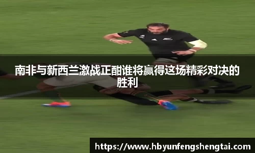 南非与新西兰激战正酣谁将赢得这场精彩对决的胜利